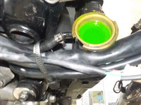 DSCN4504