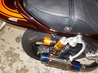 DSCN6223