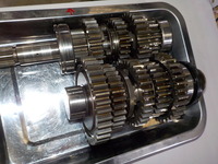 DSCN9503