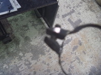 P1050106