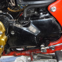 DSCF5817