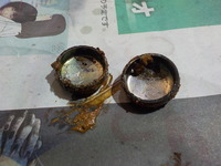 DSCN5441