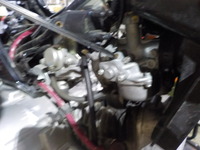 DSCN2978