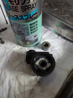 DSCN7521