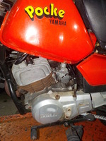 DSCN7204
