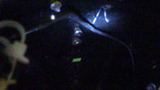 hd-xl883r20120219ws (15)