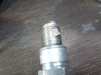 DSCN0551