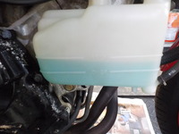 DSCN5590