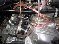 DSCN0545
