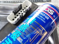DSCN2101
