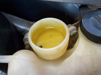 DSCN0006
