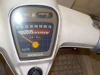 DSCN4241