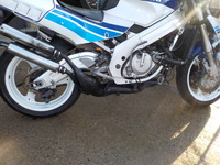 DSCN6526