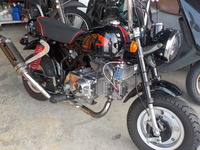 DSCN3853