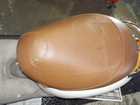 DSCN0919
