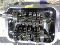 DSCN6594