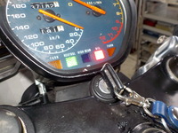 DSCN5954