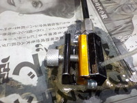 DSCN9730