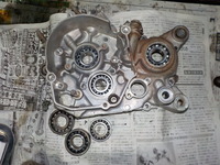 DSCN0383