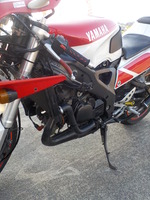 DSCN7907