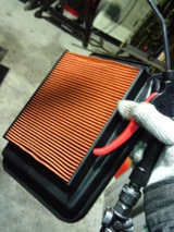 xelvis20111207ws (3)