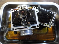 DSCN0201