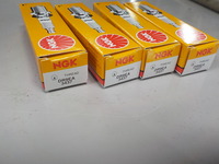 DSCN6444