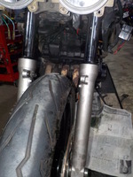 DSCN0808