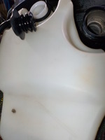 DSCN7985