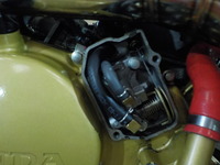 DSCN0817