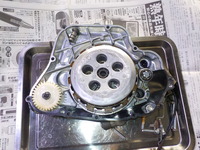 DSCN6574