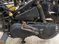 DSCN0557