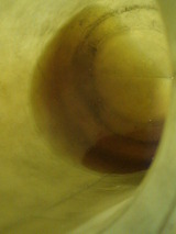 20110913 (17)