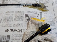 DSCN9169