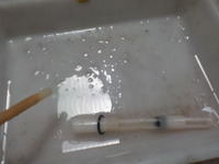 DSCN3965