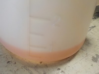 DSCN8090