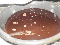DSCN4198