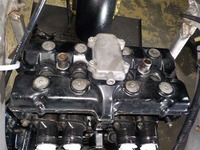 DSCN5494
