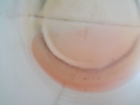 DSCN1418