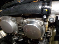 DSCN2902