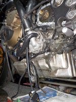 DSCN7404
