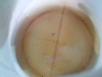 DSCN0123
