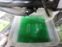 DSCN7825