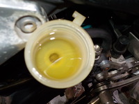 DSCN5261