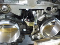 DSCN9605