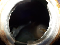 DSCN3783