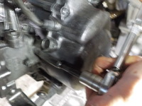DSCN4305