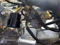 DSCN6247