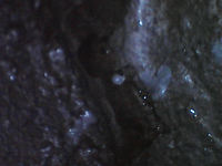 2025-06-20-09-38-39