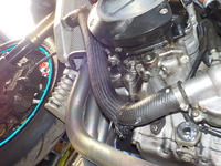 DSCN8235